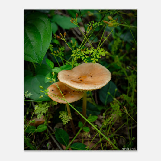 0ebe8c1a-fe40-44ef-a283-9712dea3aad5