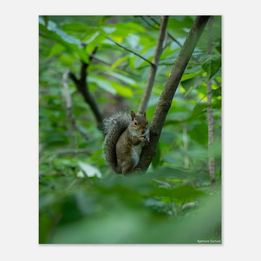 3016d8bd-2c86-4b56-b4de-dbff79e88f8c