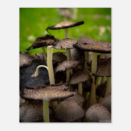 431e87a3-5b32-4e70-93ad-4ca383a78eaf