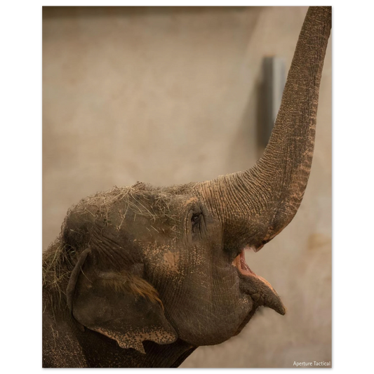 6971db39-cb66-4ccb-9b40-dd15b210f828