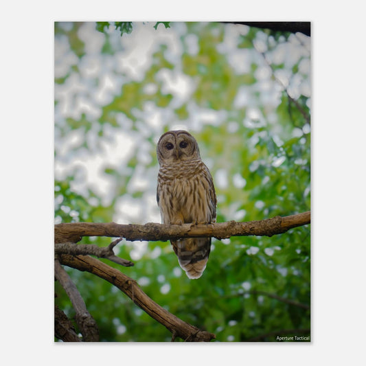 93a24b61-cb5b-4d06-9523-766e1b33232e