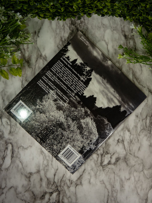 Landscapes: Developing Style in Creative Photography - Black & White Photography by Terry Hope (Pre-owned) Paperback