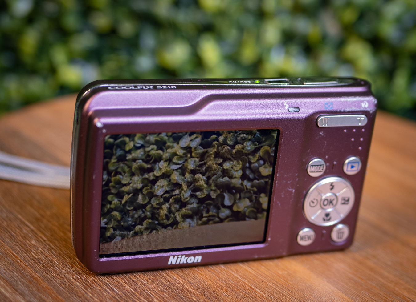 Nikon Coolpix S210 - 8 Mega Pixel Compact Camera - Plum Purple (Pre-Owned)