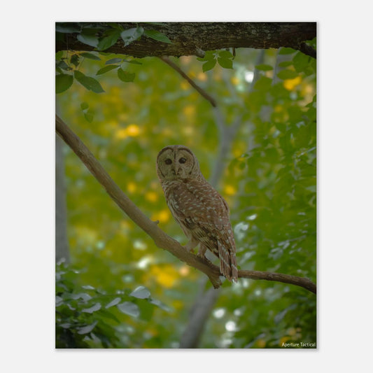 ed2039c9-df11-43aa-9ee1-16a9155381aa