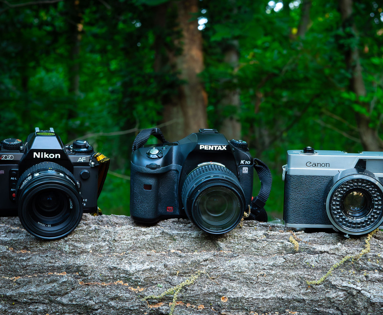 All Cameras