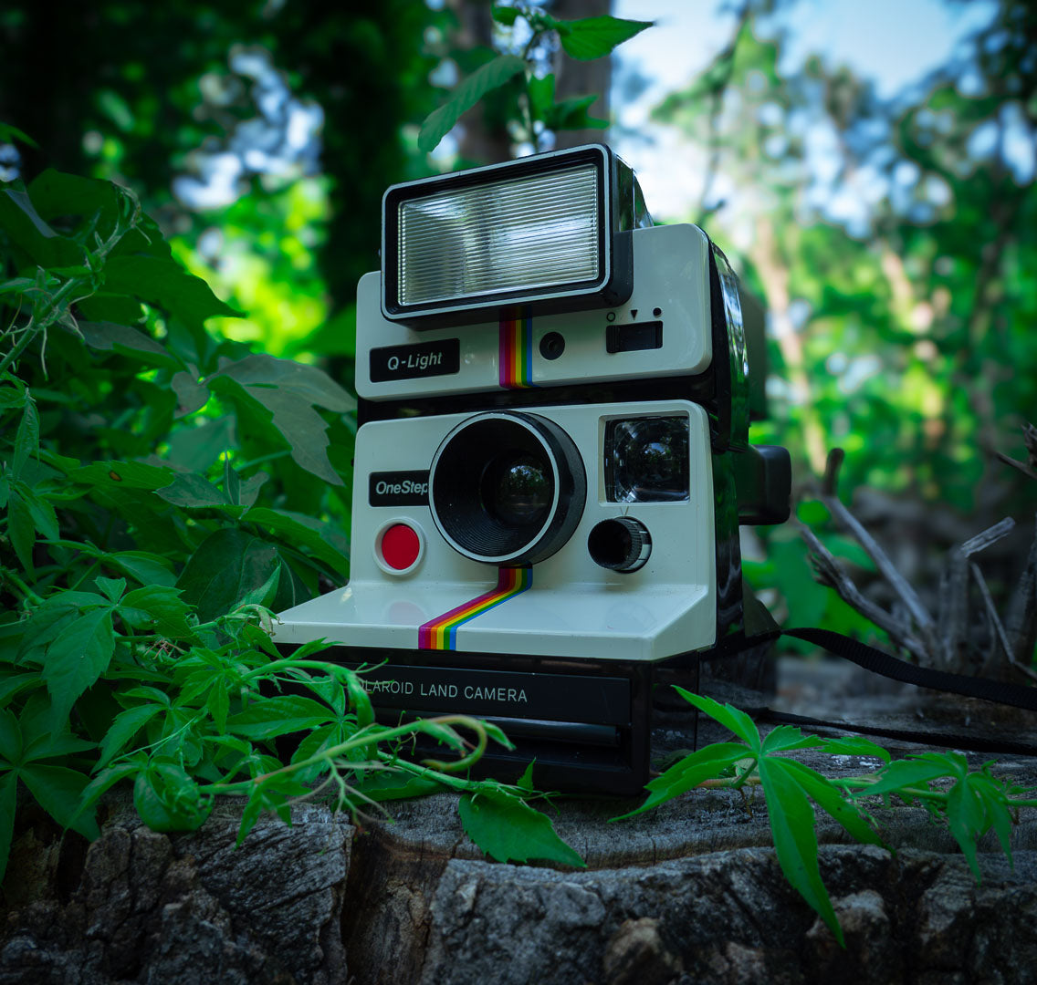 Instant Cameras