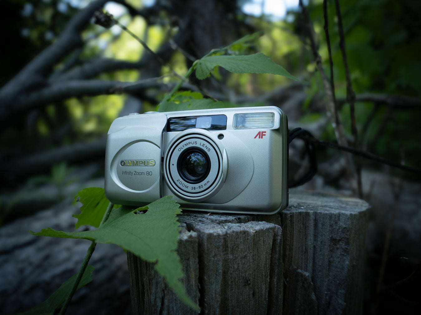 Point & Shoot Cameras