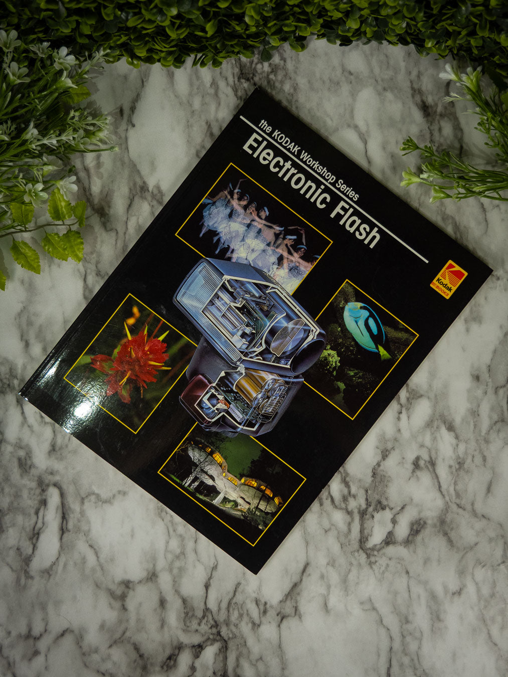 The Kodak Workshop Series: Electronic Flash - Pre-owned