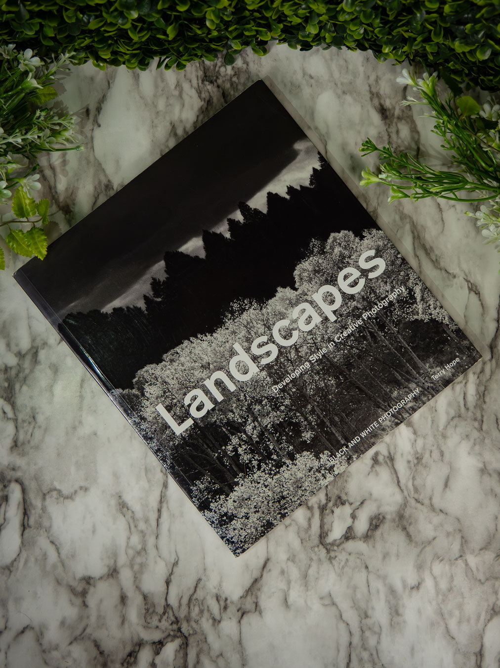 Landscapes: Developing Style in Creative Photography - Black & White Photography by Terry Hope (Pre-owned) Paperback