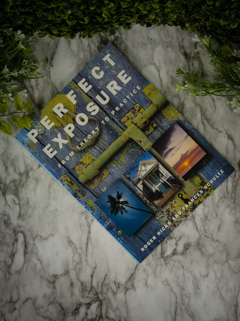 Perfect Exposure: A Practical Guide for All Photographers by Roger Hicks & Frances Schultz (Pre-owned)