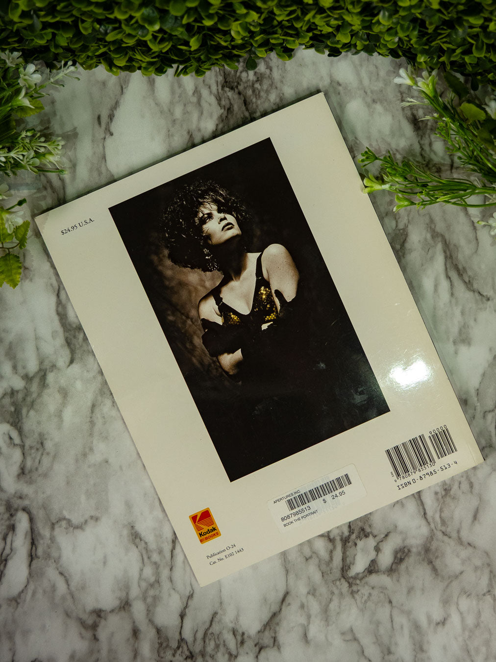 The Portrait: Professional Techniques and Practices in Portrait Photography (Paperback, Pre-owned)