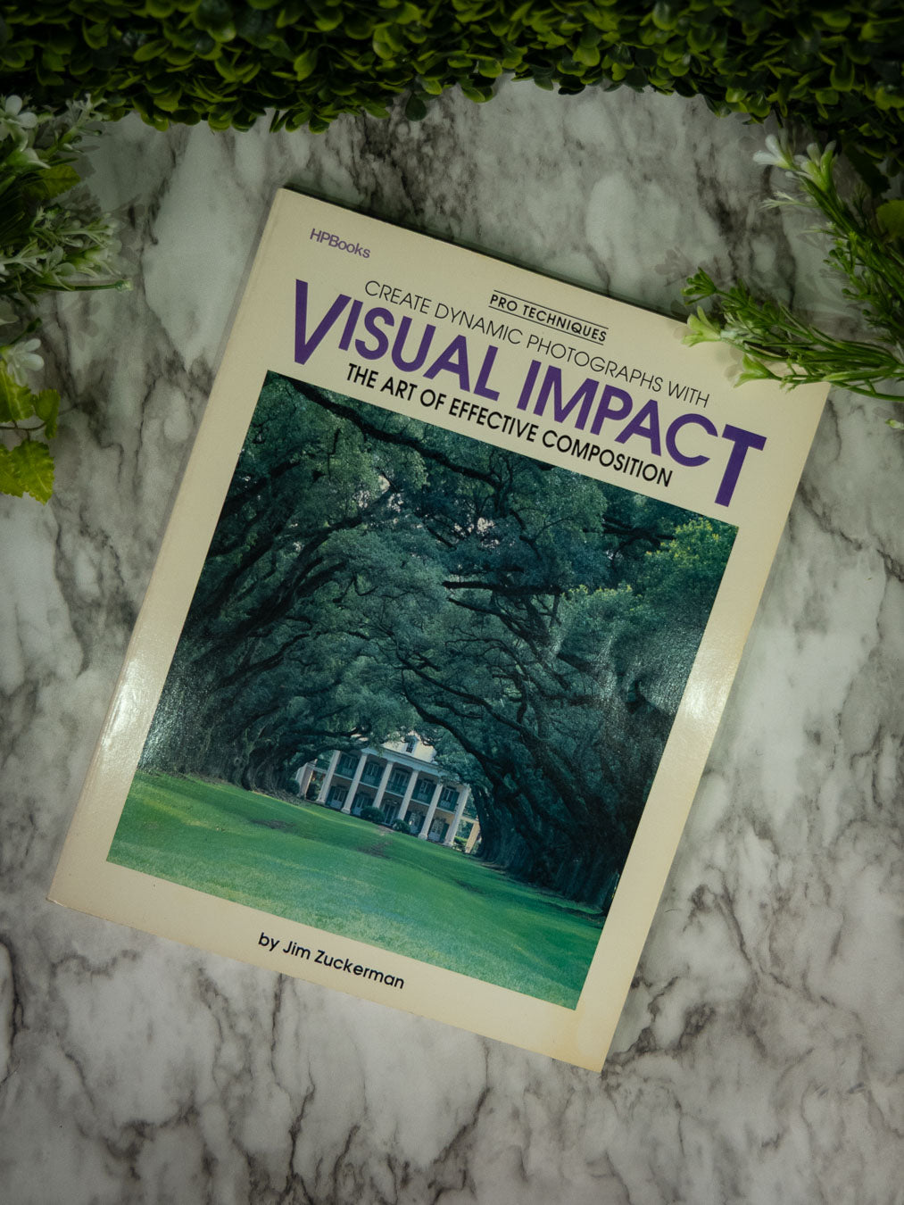 Visual Impact: The Art of Effective Composition by Jim Zuckerman (Pre-Owned, Paperback)