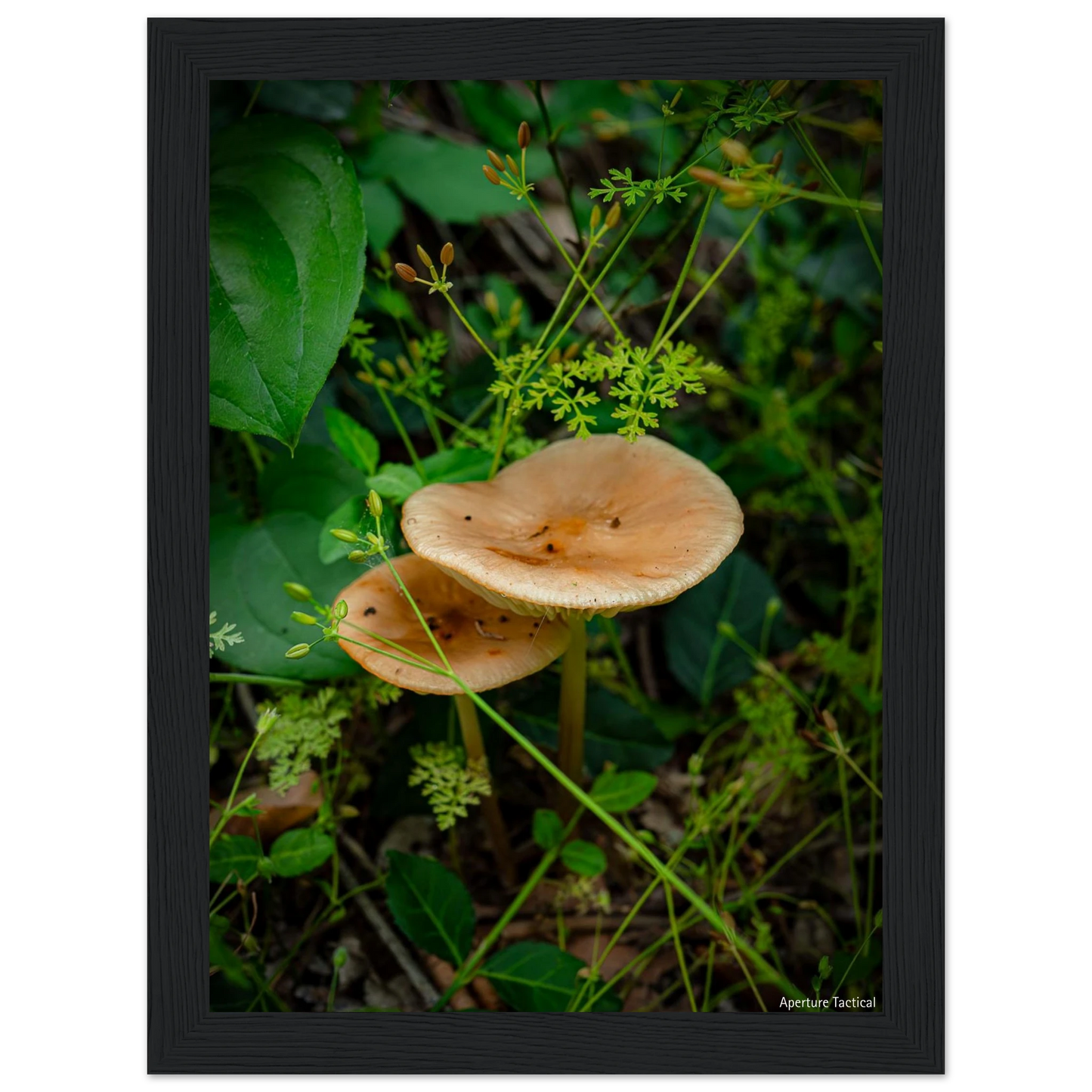 f99402a8-65e1-403f-818f-4cc2a8d6e675